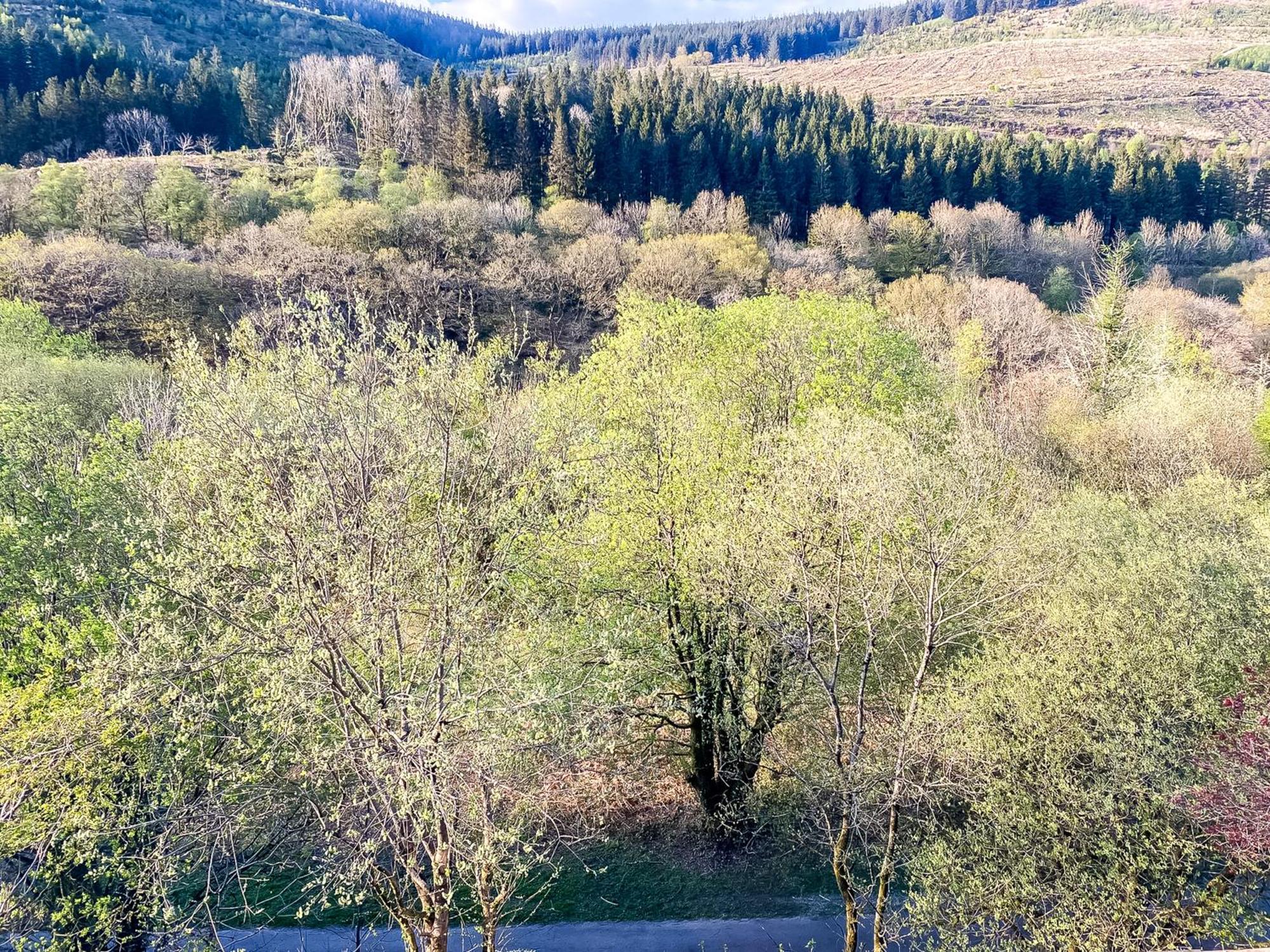 The Nest Superb Apartment In Afan Forest Bike Park By Staystaycations Port Talbot Buitenkant foto