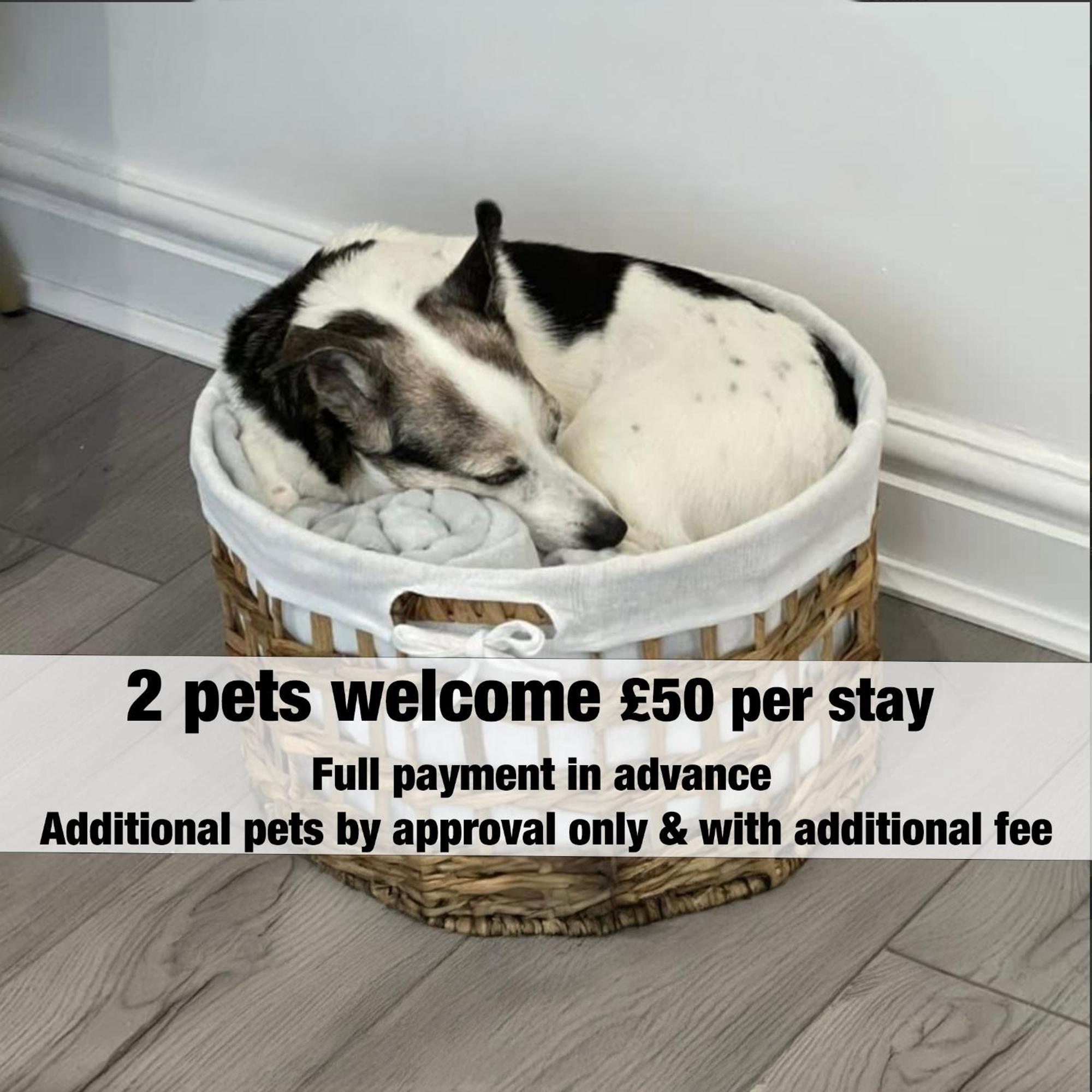 The Nest Superb Apartment In Afan Forest Bike Park By Staystaycations Port Talbot Buitenkant foto